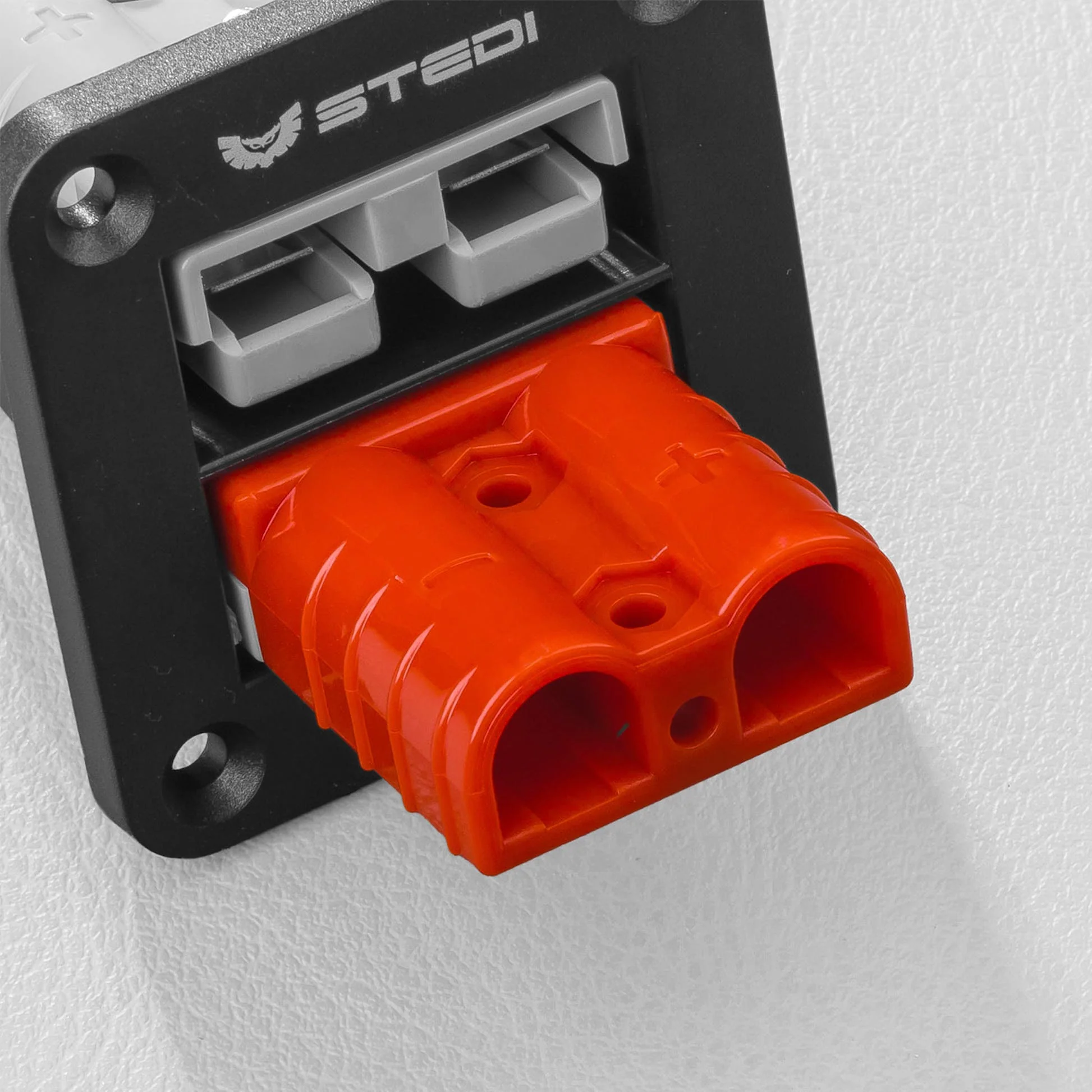 STEDI Twin Anderson Plug - Flush Mount - Image 5